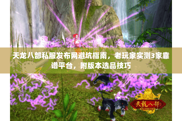 天龙八部私服发布网避坑指南，老玩家实测3家靠谱平台，附版本选品技巧