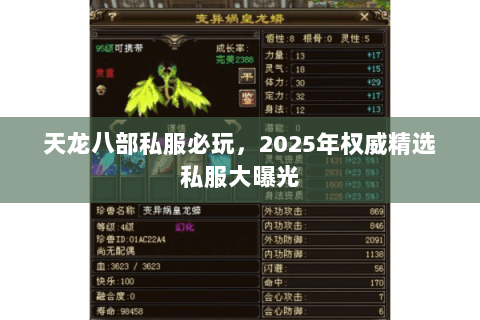 天龙八部私服必玩，2025年权威精选私服大曝光