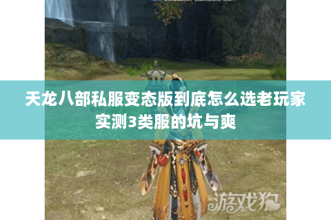 天龙八部私服变态版到底怎么选老玩家实测3类服的坑与爽