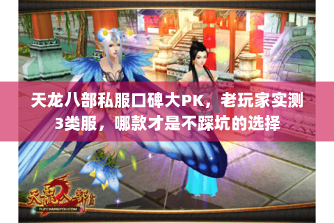 天龙八部私服口碑大PK，老玩家实测3类服，哪款才是不踩坑的选择