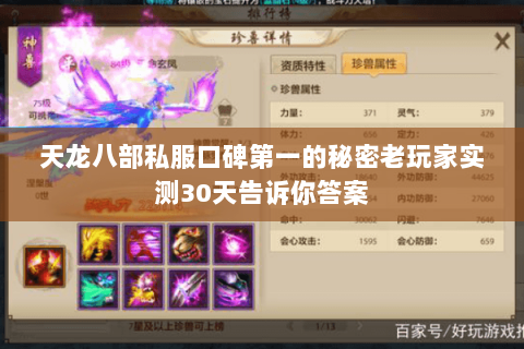 天龙八部私服口碑第一的秘密老玩家实测30天告诉你答案
