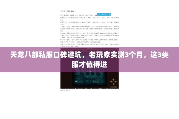 天龙八部私服口碑避坑，老玩家实测3个月，这3类服才值得进