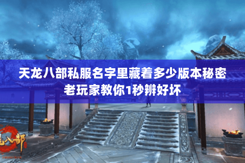 天龙八部私服名字里藏着多少版本秘密老玩家教你1秒辨好坏
