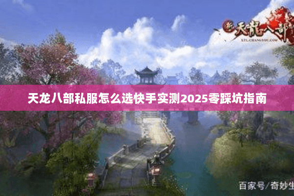 天龙八部私服怎么选快手实测2025零踩坑指南