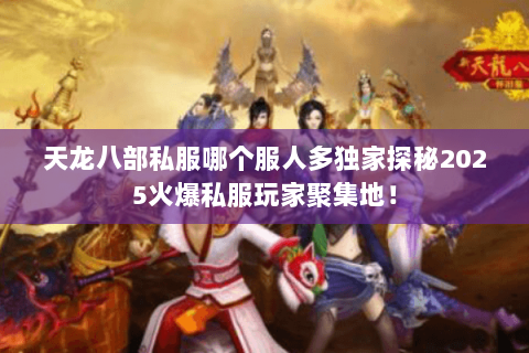 天龙八部私服哪个服人多独家探秘2025火爆私服玩家聚集地！