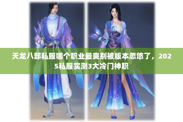 天龙八部私服哪个职业最爽别被版本忽悠了,2025私服实测3大冷门神职 天龙八部私服哪个职业最爽别被版本忽悠了,2025私服实测3大冷门神职