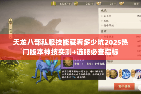 天龙八部私服技能藏着多少坑2025热门版本神技实测+选服必查指标