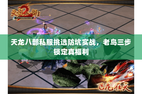 天龙八部私服挑选防坑实战，老鸟三步锁定真福利