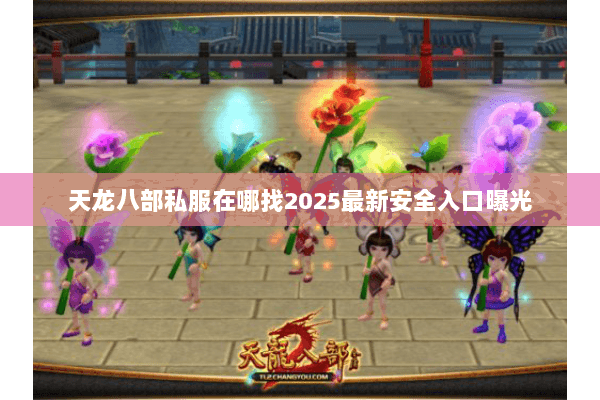 天龙八部私服在哪找2025最新安全入口曝光