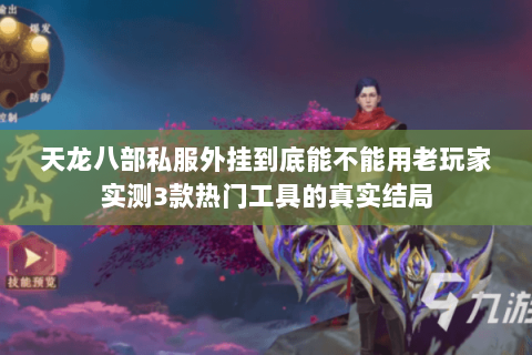 天龙八部私服外挂到底能不能用老玩家实测3款热门工具的真实结局