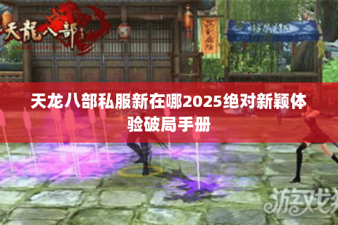 天龙八部私服新在哪2025绝对新颖体验破局手册