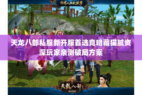 天龙八部私服新开服首选竟暗藏猫腻资深玩家亲测破局方案