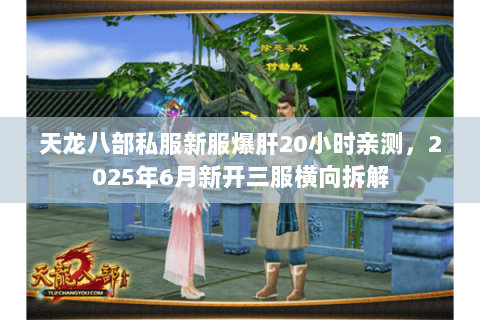 天龙八部私服新服爆肝20小时亲测，2025年6月新开三服横向拆解