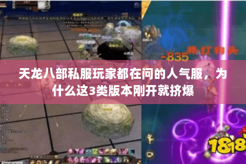 天龙八部私服玩家都在问的人气服,为什么这3类版本刚开就挤爆 天龙八部私服玩家都在问的人气服,为什么这3类版本刚开就挤爆