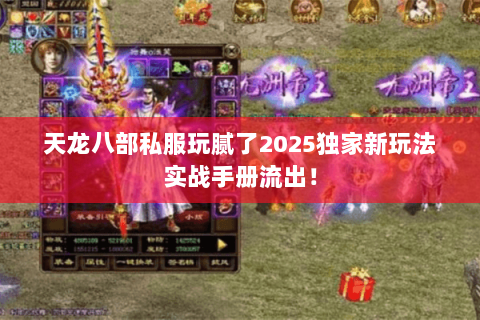 天龙八部私服玩腻了2025独家新玩法实战手册流出！