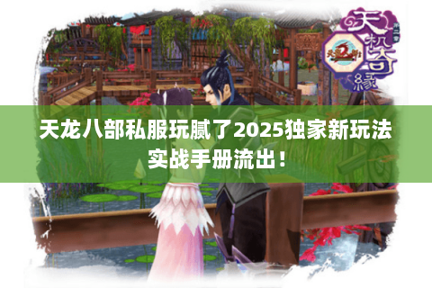 天龙八部私服玩腻了2025独家新玩法实战手册流出！