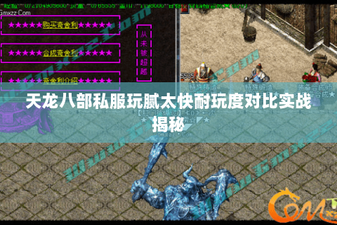 天龙八部私服玩腻太快耐玩度对比实战揭秘 天龙八部私服玩腻太快耐玩度对比实战揭秘