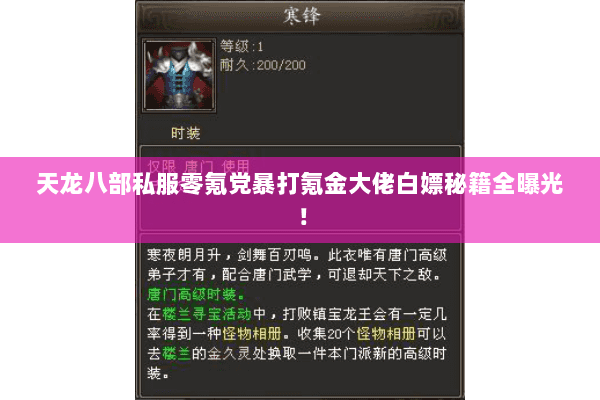 天龙八部私服零氪党暴打氪金大佬白嫖秘籍全曝光！