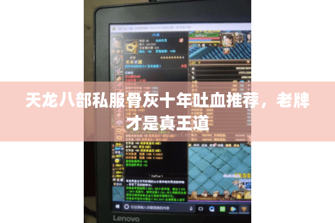 天龙八部私服骨灰十年吐血推荐，老牌才是真王道