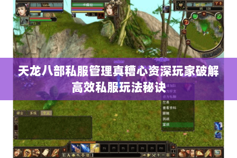 天龙八部私服管理真糟心资深玩家破解高效私服玩法秘诀