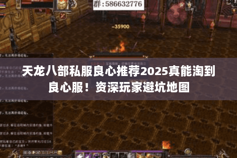 天龙八部私服良心推荐2025真能淘到良心服！资深玩家避坑地图