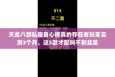 天龙八部私服良心榜真的存在老玩家实测3个月,这5款才配叫不割韭菜 天龙八部私服良心榜真的存在老玩家实测3个月,这5款才配叫不割韭菜
