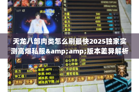 天龙八部肉类怎么刷最快2025独家实测高爆私服&amp;版本差异解析