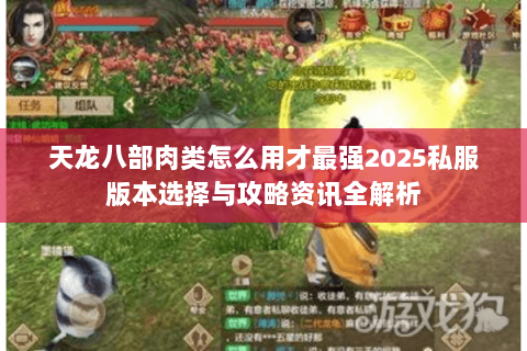 天龙八部肉类怎么用才最强2025私服版本选择与攻略资讯全解析