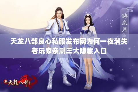 天龙八部良心私服发布网为何一夜消失老玩家亲测三大隐藏入口