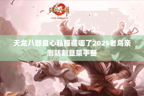 天龙八部良心私服藏哪了2025老鸟亲测防割韭菜手册