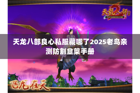 天龙八部良心私服藏哪了2025老鸟亲测防割韭菜手册
