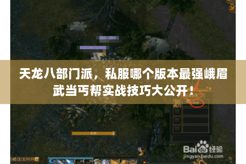 天龙八部门派，私服哪个版本最强峨眉武当丐帮实战技巧大公开！