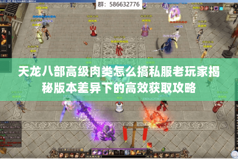 天龙八部高级肉类怎么搞私服老玩家揭秘版本差异下的高效获取攻略