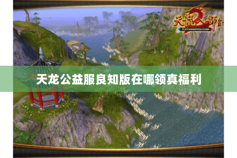 天龙公益服良知版在哪领真福利