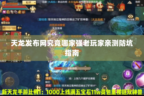 天龙发布网究竟哪家强老玩家亲测防坑指南