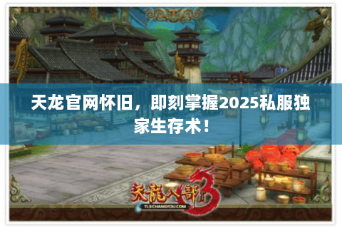 天龙官网怀旧，即刻掌握2025私服独家生存术！