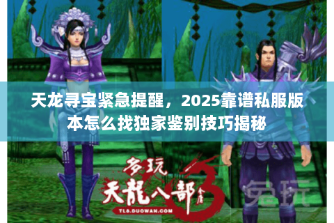 天龙寻宝紧急提醒，2025靠谱私服版本怎么找独家鉴别技巧揭秘