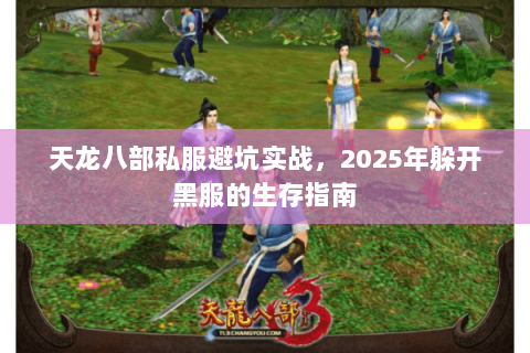 天龙八部私服避坑实战，2025年躲开黑服的生存指南