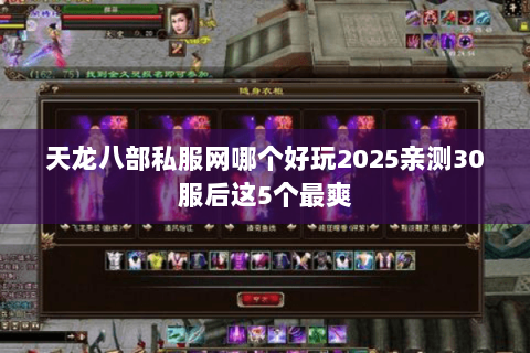天龙八部私服网哪个好玩2025亲测30服后这5个最爽