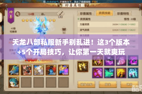 天龙八部私服新手别乱进！这3个版本+5个开局技巧，让你第一天就爽玩
