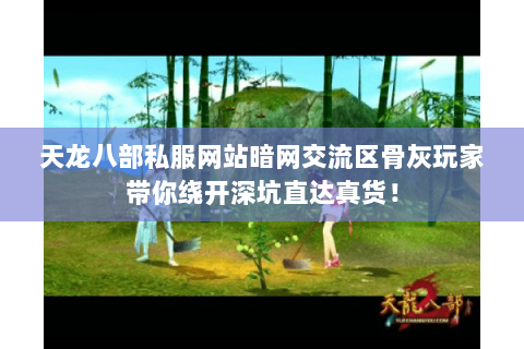 天龙八部私服网站暗网交流区骨灰玩家带你绕开深坑直达真货！