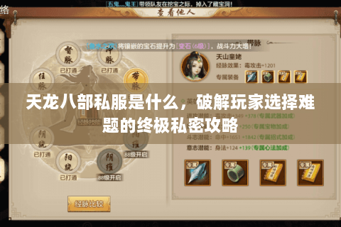 天龙八部私服是什么，破解玩家选择难题的终极私密攻略