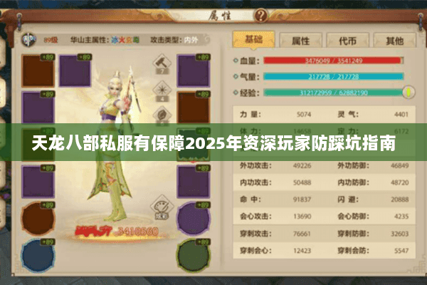 天龙八部私服有保障2025年资深玩家防踩坑指南