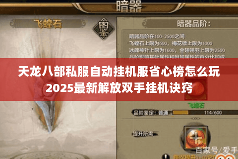 天龙八部私服自动挂机服省心榜怎么玩2025最新解放双手挂机诀窍