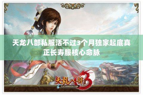 天龙八部私服活不过3个月独家起底真正长寿服核心命脉