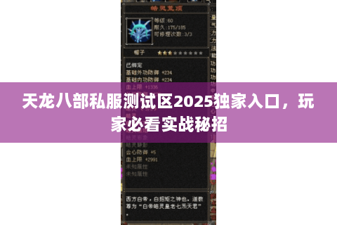 天龙八部私服测试区2025独家入口，玩家必看实战秘招