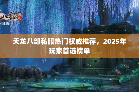 天龙八部私服热门权威推荐，2025年玩家首选榜单