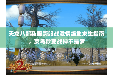 天龙八部私服跨服战激情绝地求生指南，菜鸟秒变战神不是梦