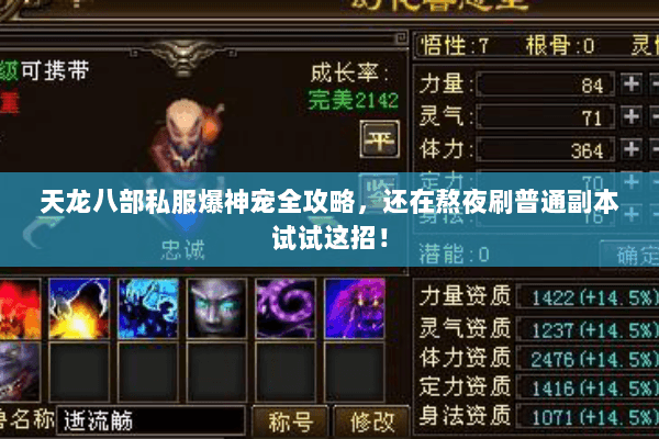 天龙八部私服爆神宠全攻略，还在熬夜刷普通副本试试这招！