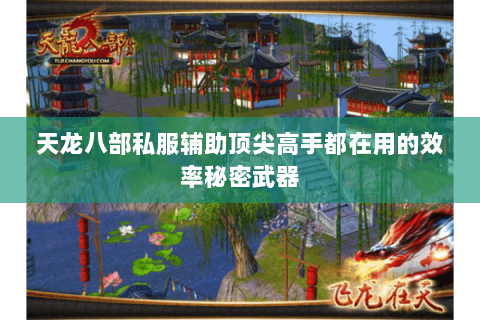天龙八部私服辅助顶尖高手都在用的效率秘密武器
